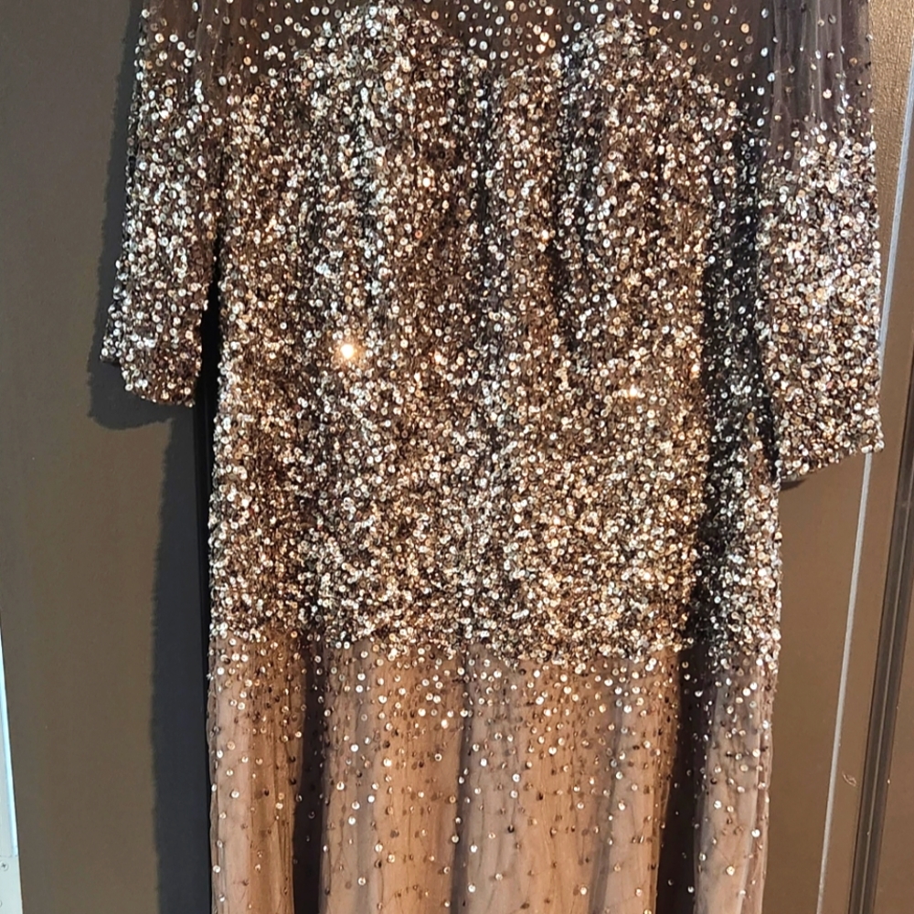 18W Beaded Illusion Bodice Mesh Gown ADRIANNA PAPELL